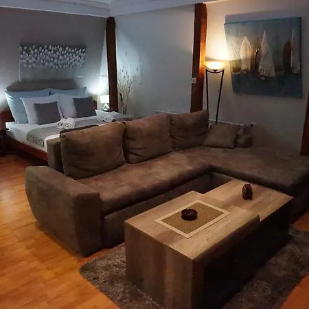 Blue Danube Apartment Belgrade