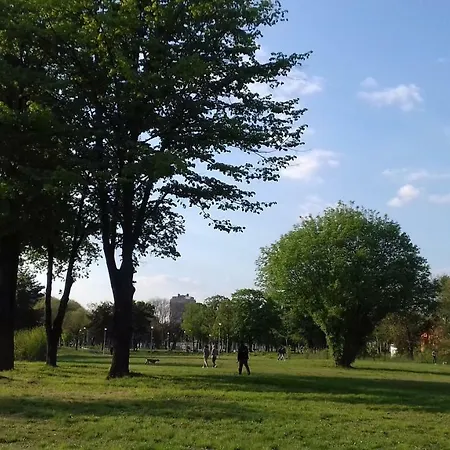 Blue Danube * Belgrad