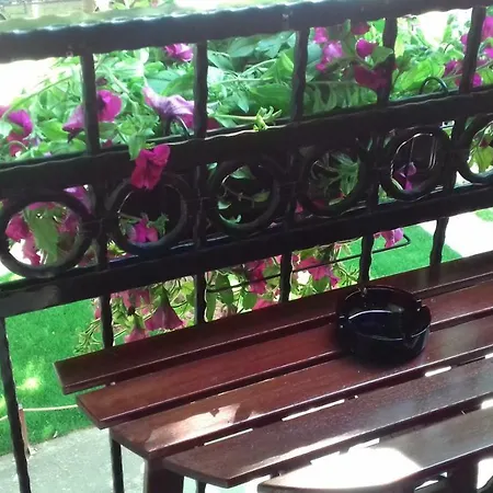 Apartment Blue Danube *