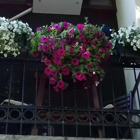 Apartment Blue Danube Belgrade